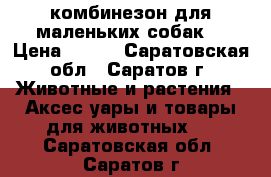 комбинезон для маленьких собак  › Цена ­ 600 - Саратовская обл., Саратов г. Животные и растения » Аксесcуары и товары для животных   . Саратовская обл.,Саратов г.